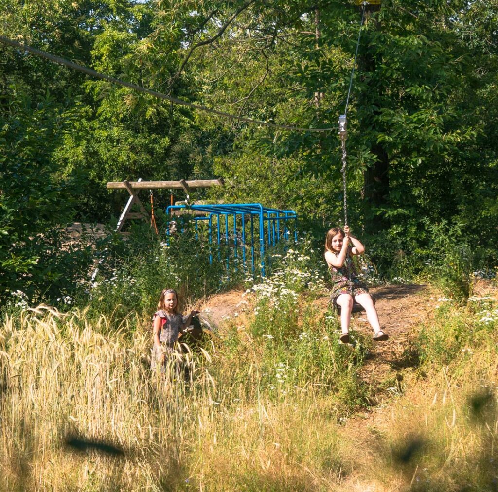 Spelen in het lange gras -Ossenkamp Vakantiehuis